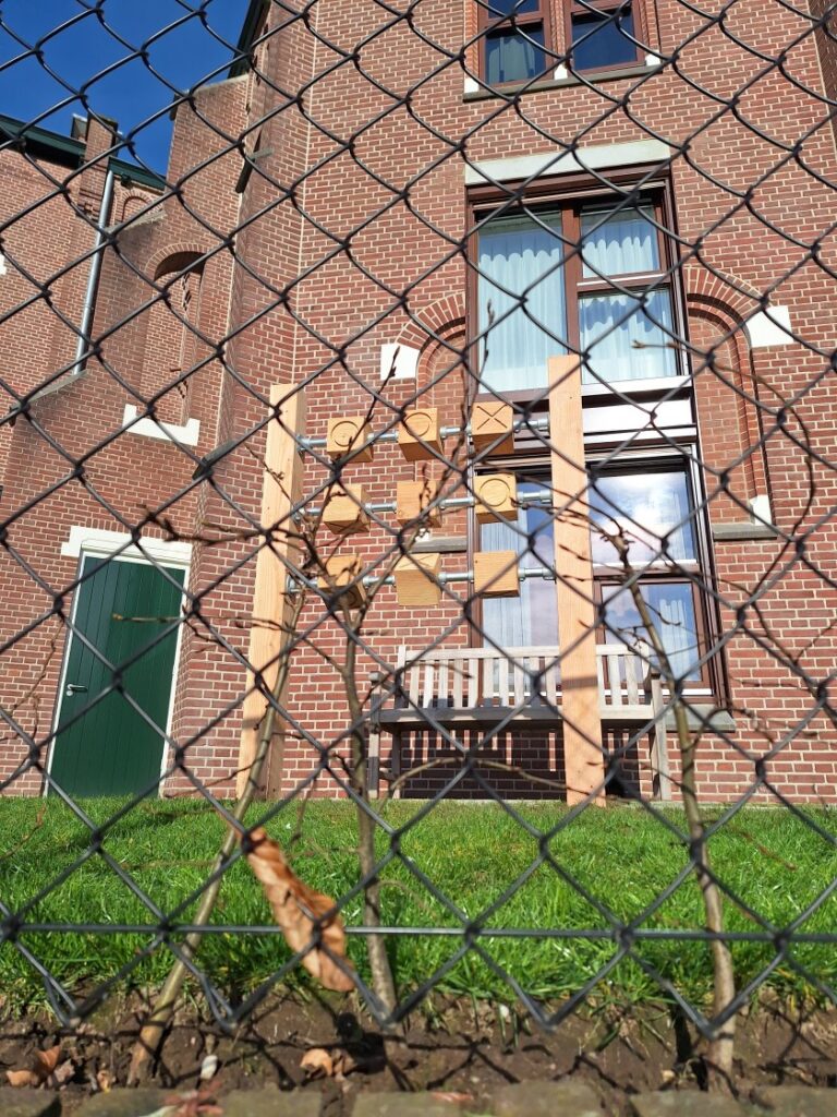 boter-kaas-en-eieren-xxl-spel-dementiezorg-samen-spelen